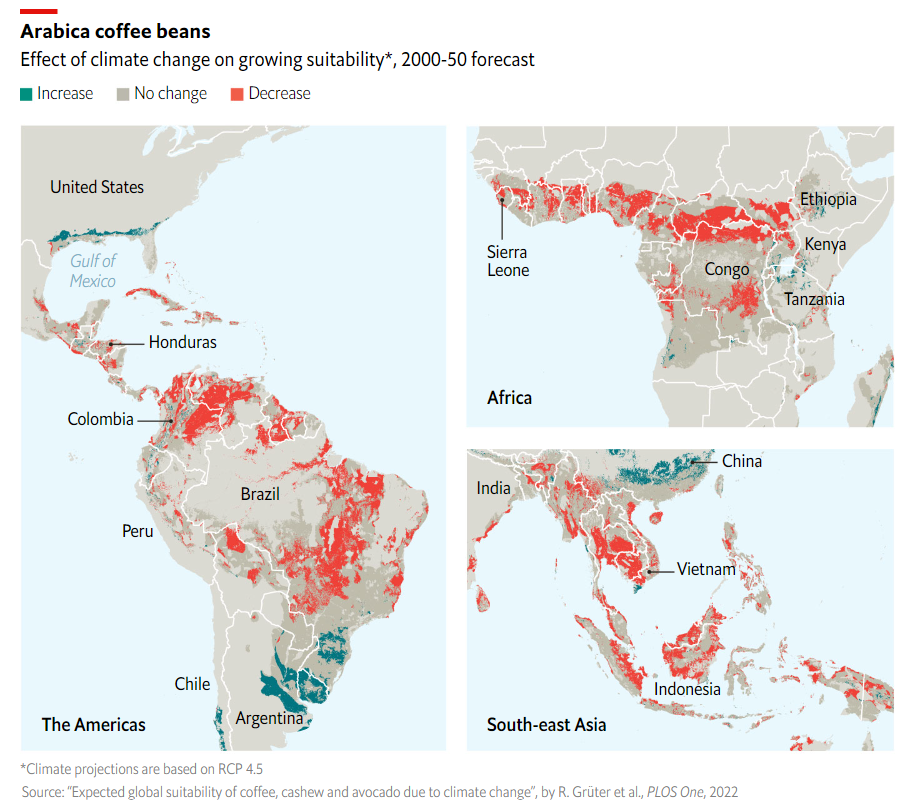Кава в зернах арабіка. Вплив зміни клімату на придатність до вирощування, прогноз на 2000-50 рр. Інфографіка: The Economist