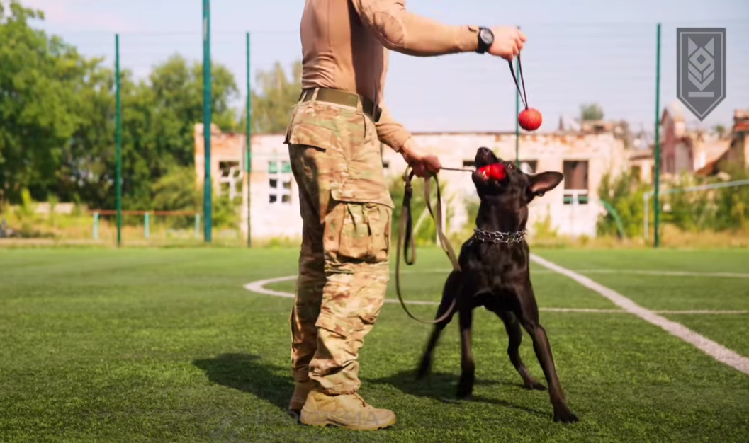 Скриншот з відео