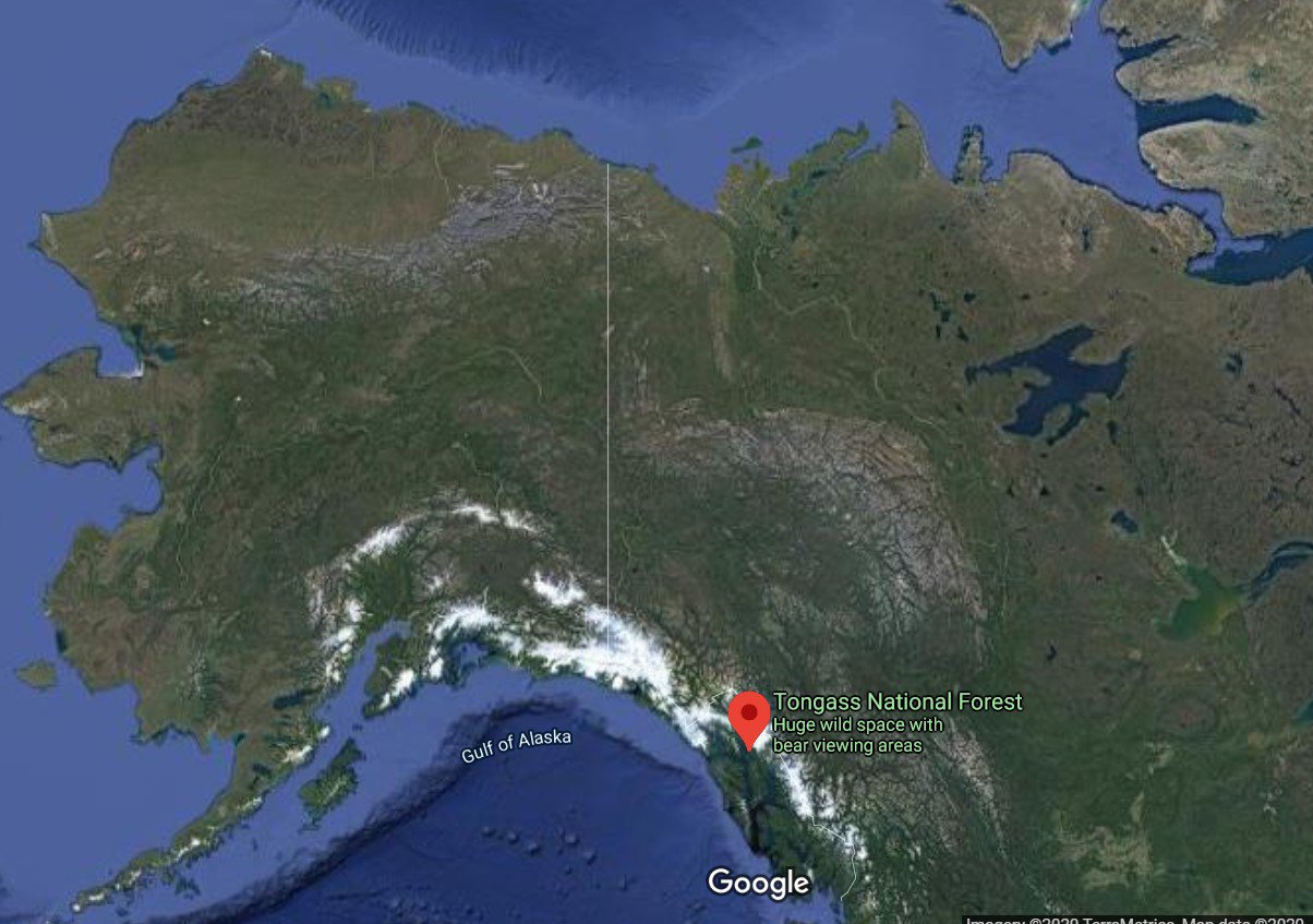 скріншот супутникової карти, Google Maps