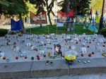 Попередній перегляд Куточок “Вовків да Вінчі” на майдані Незалежності