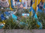 Попередній перегляд За травою не видно портретів на майдані незалежності