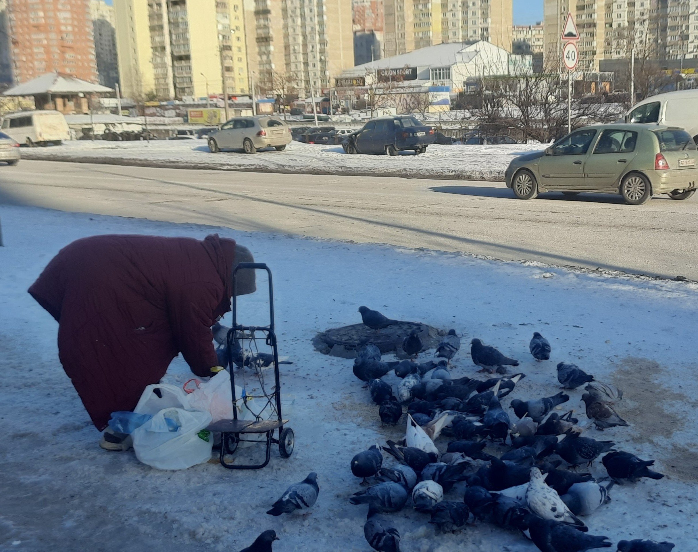 Жінка годує голубів на Троєщині