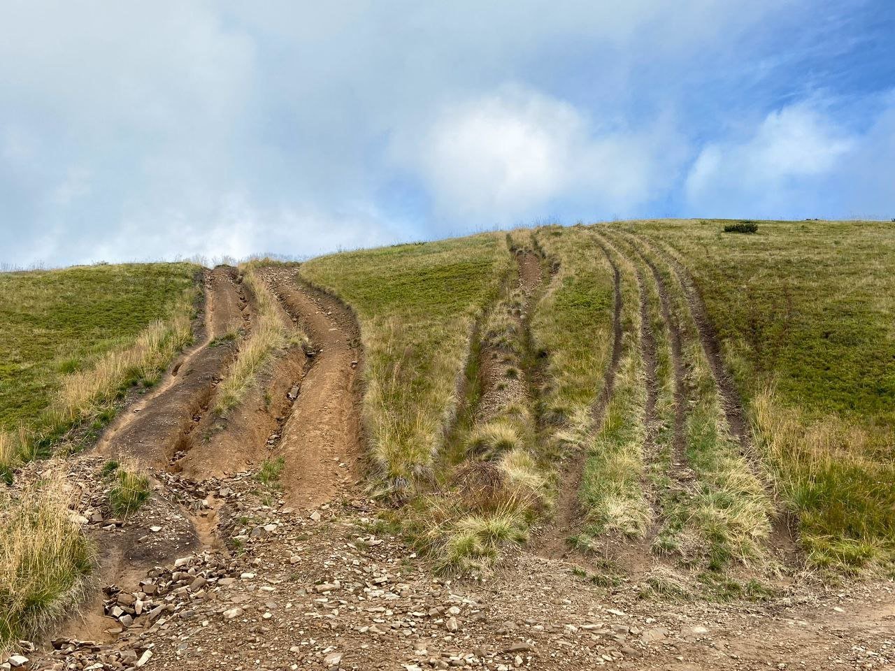 © Ігор Дикий _ WWF-Україна