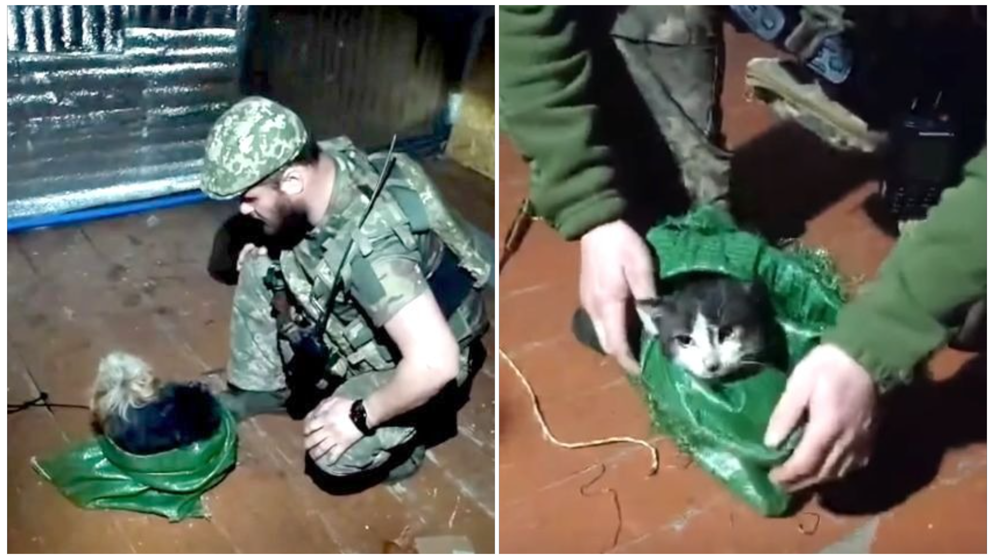 Колаж: АрміяInform