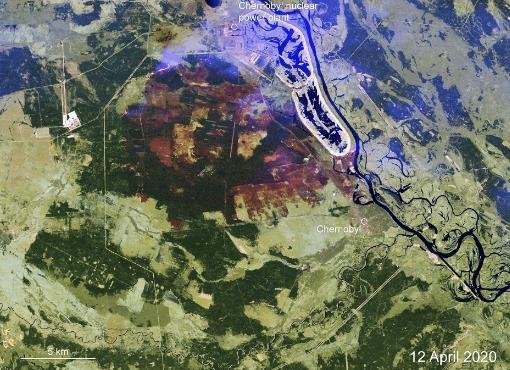 Супутникове фото дня: Чорнобильська зона до і після пожежі – вигляд з космосу