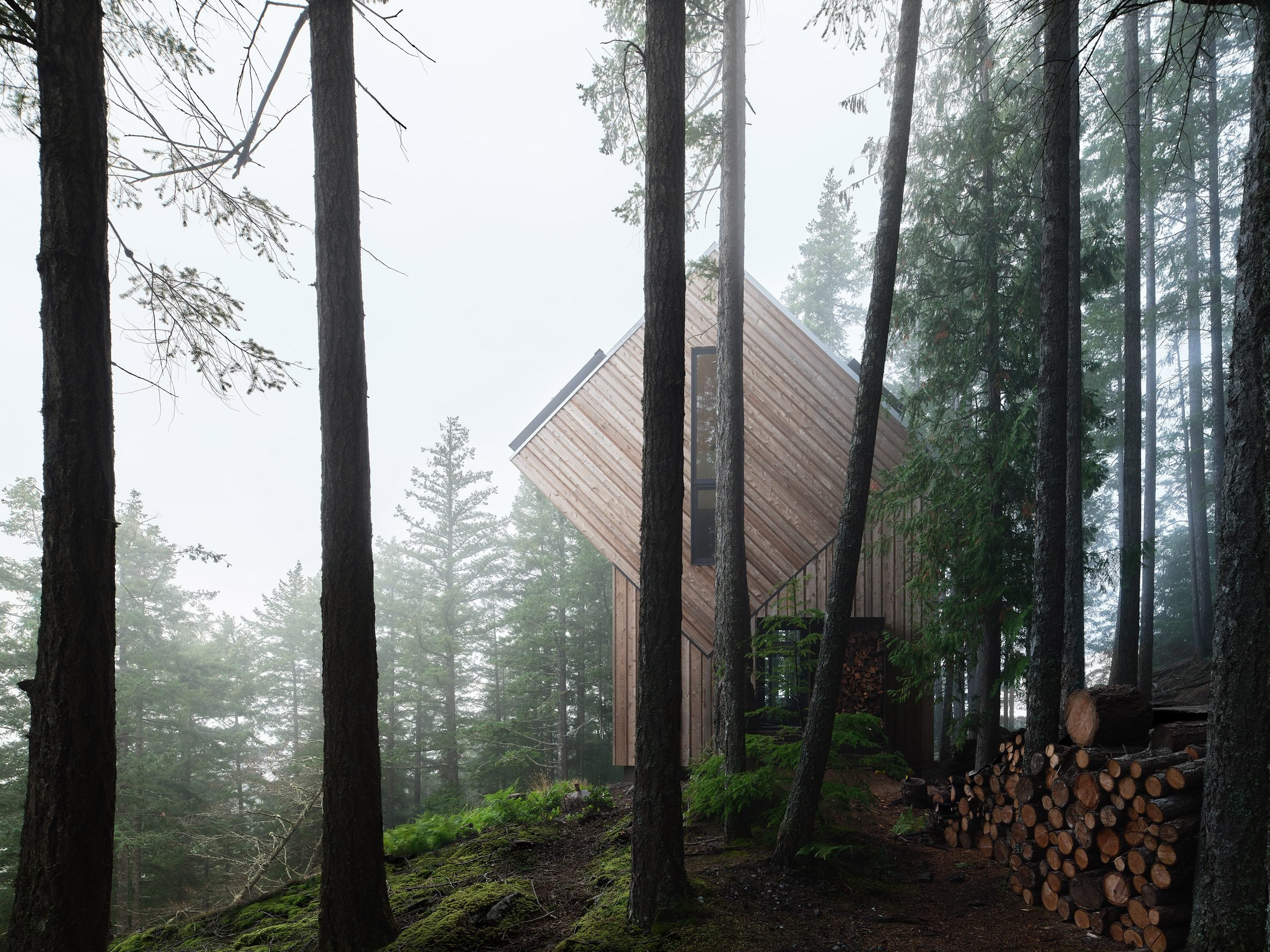 daria-sheina-studio-off-grid-cabin-british-columbia