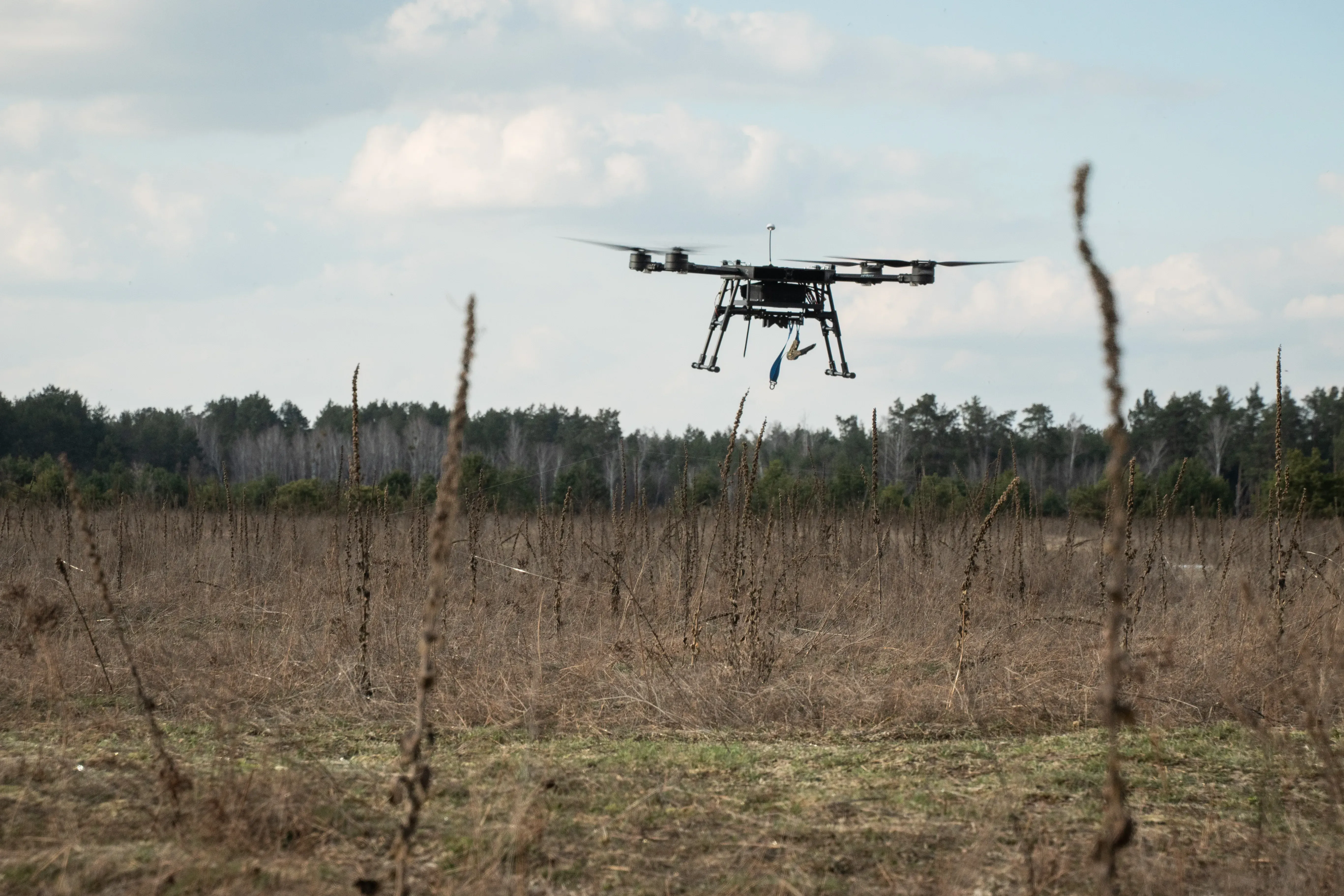 бомбери тести