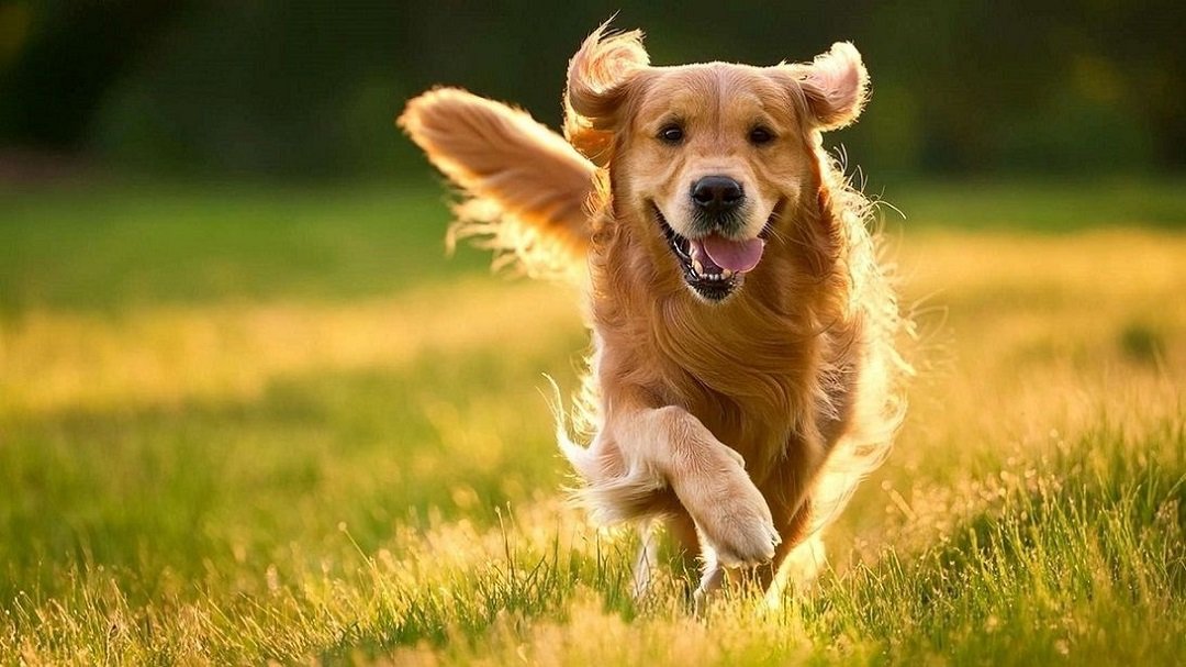 Фото ілюстративне, з відкритих джерел