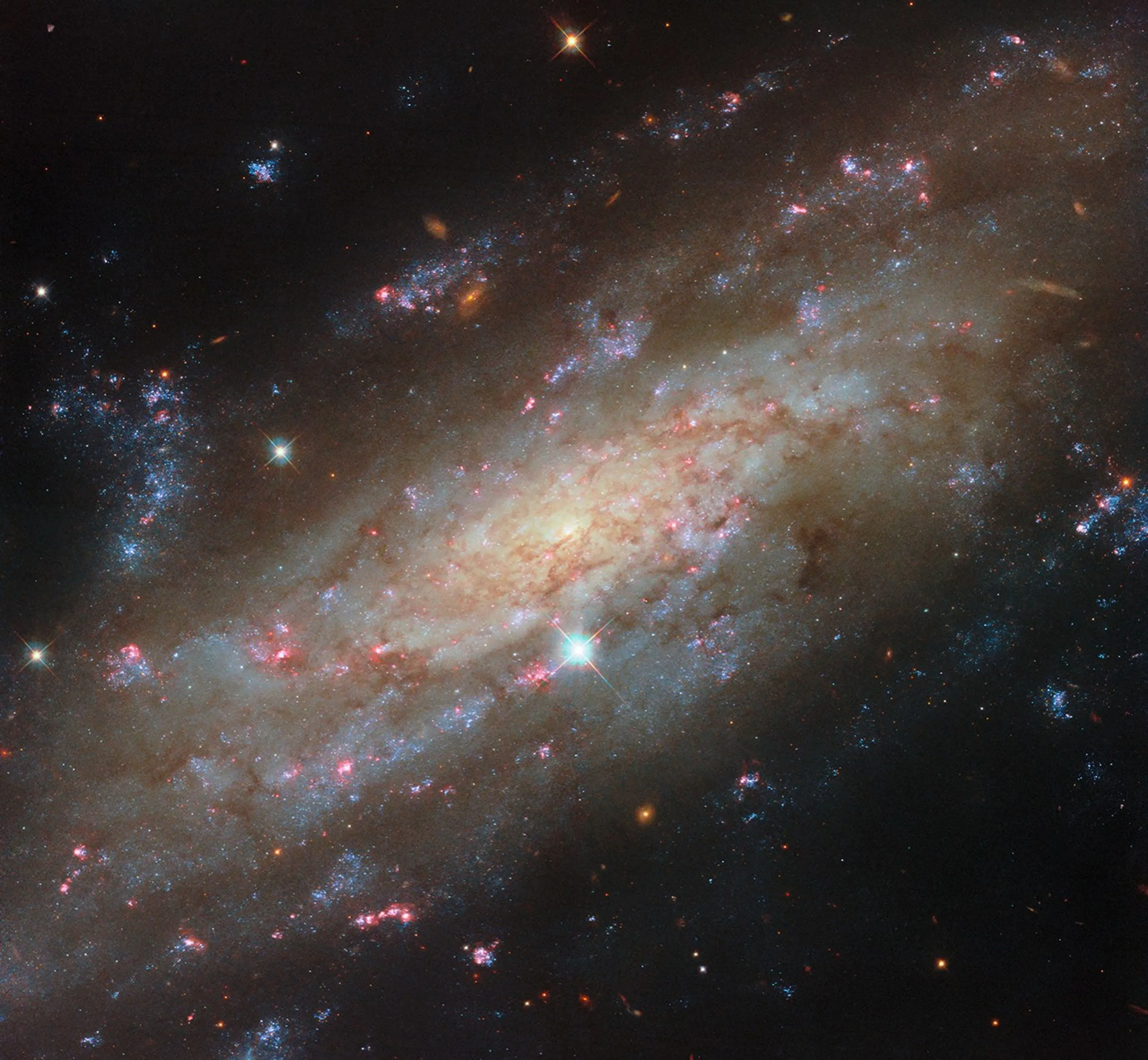 hubble-ngc3137-potm2604a