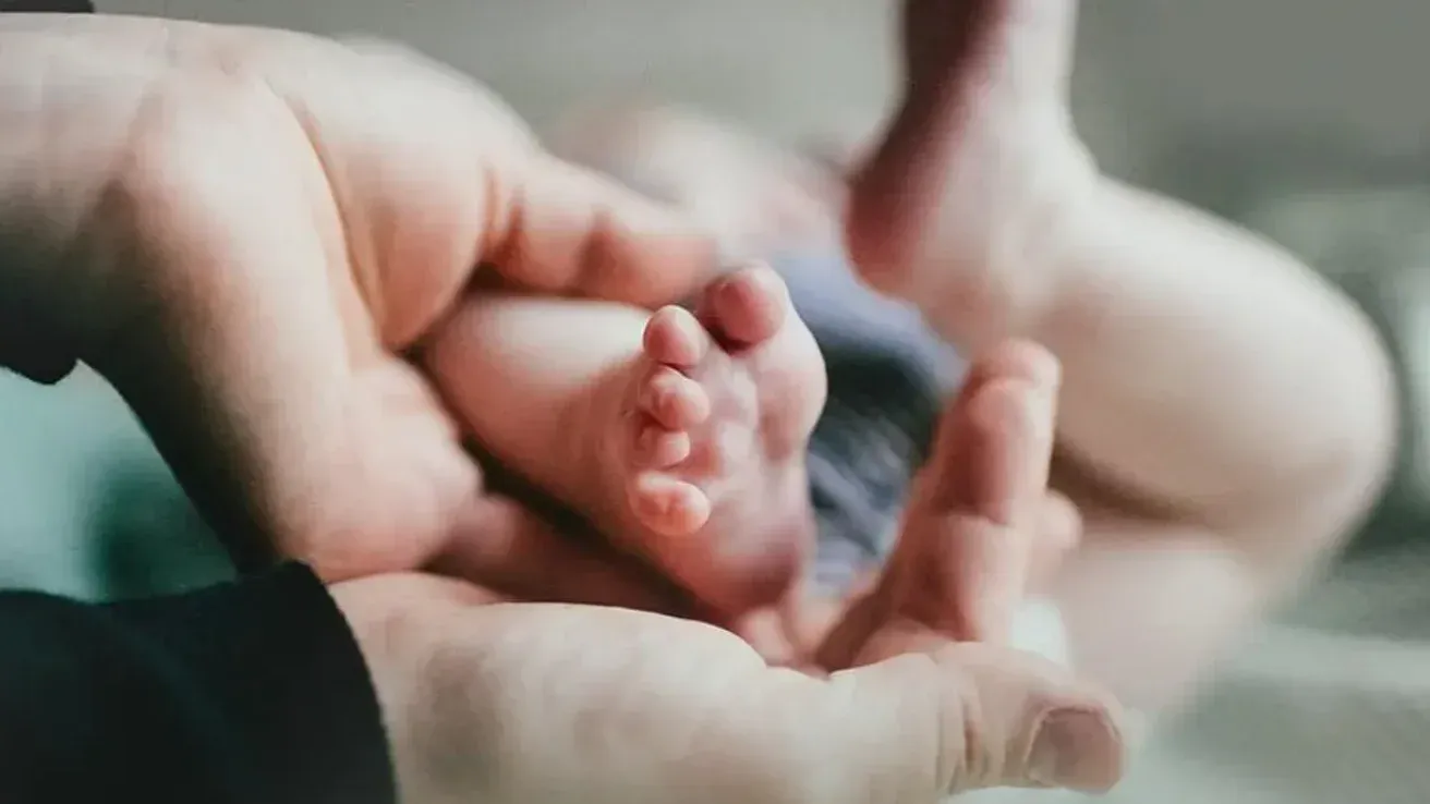 Фото ілюстративне, з відкритих джерел