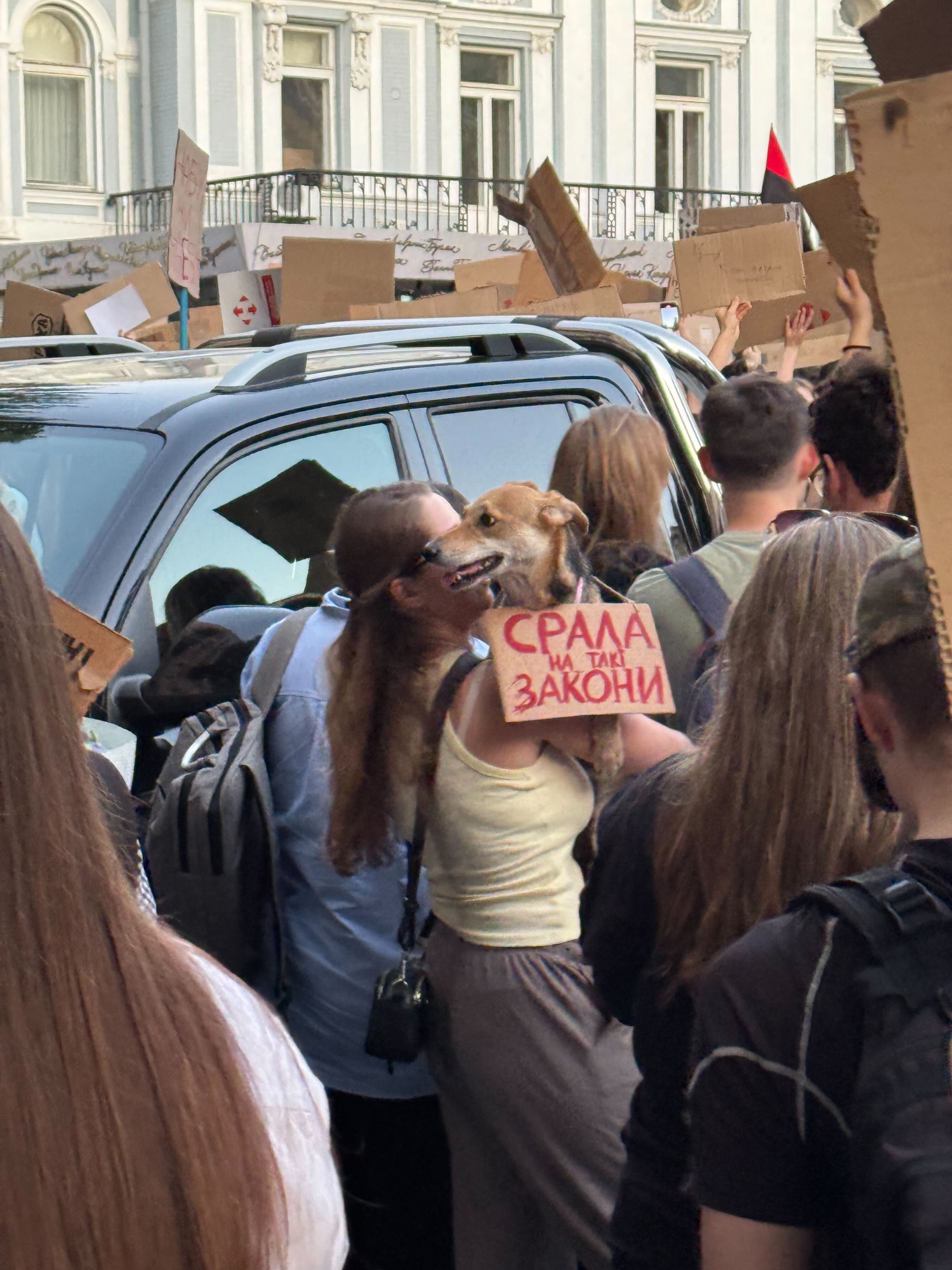 Мітинг проти ліквідації НАБУ та САП у Києві. Фото: Texty.org.ua