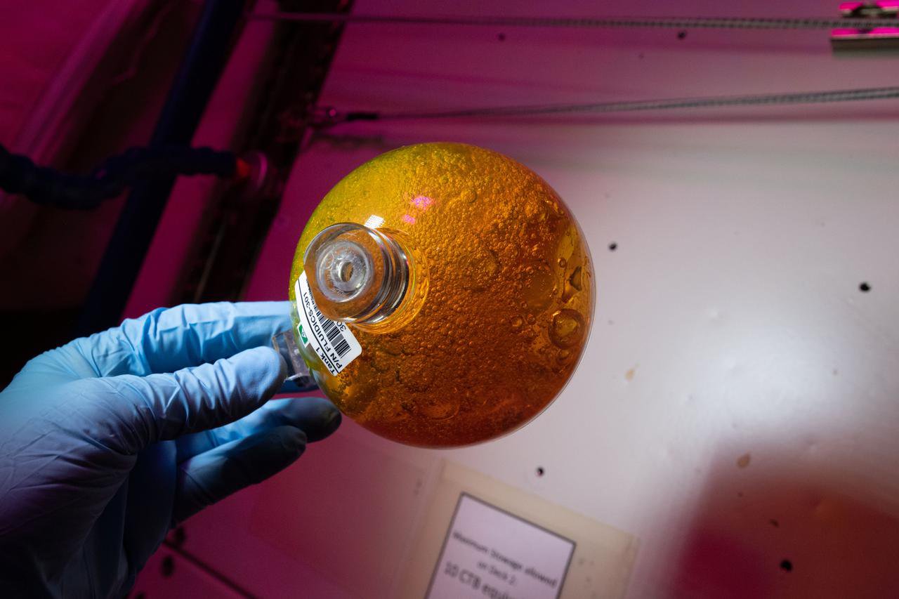 Вигляд прозорої сфери FLUIDICS на борту МКС. Дослідження охоплює два аспекти механіки рідини: аналіз явищ розтікання рідини в баках космічних апаратів в умовах мікрогравітації та явища хвильової турбулентності, що виникає на поверхні рідин