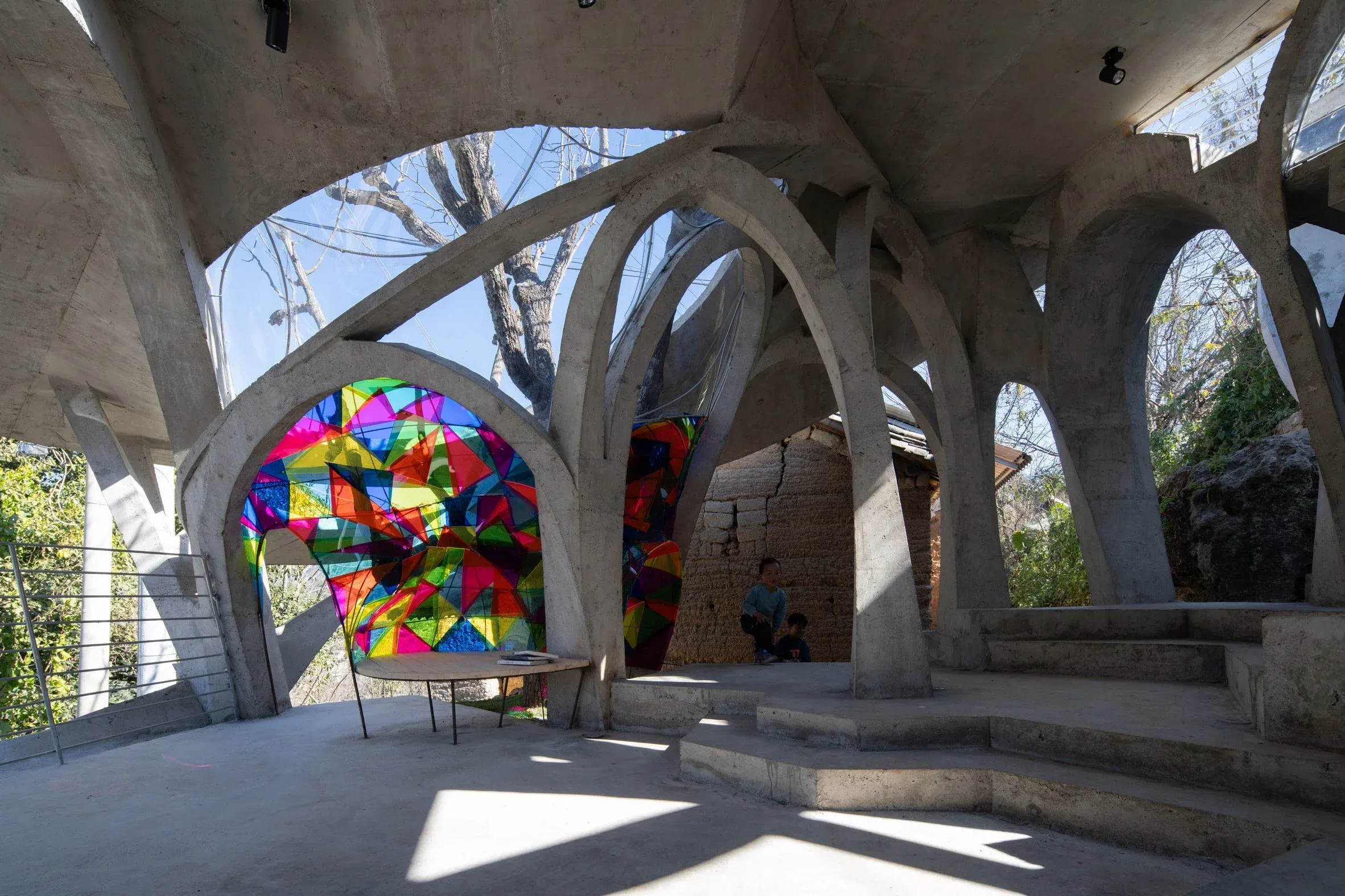 kong-xiangwei-mushroom-library