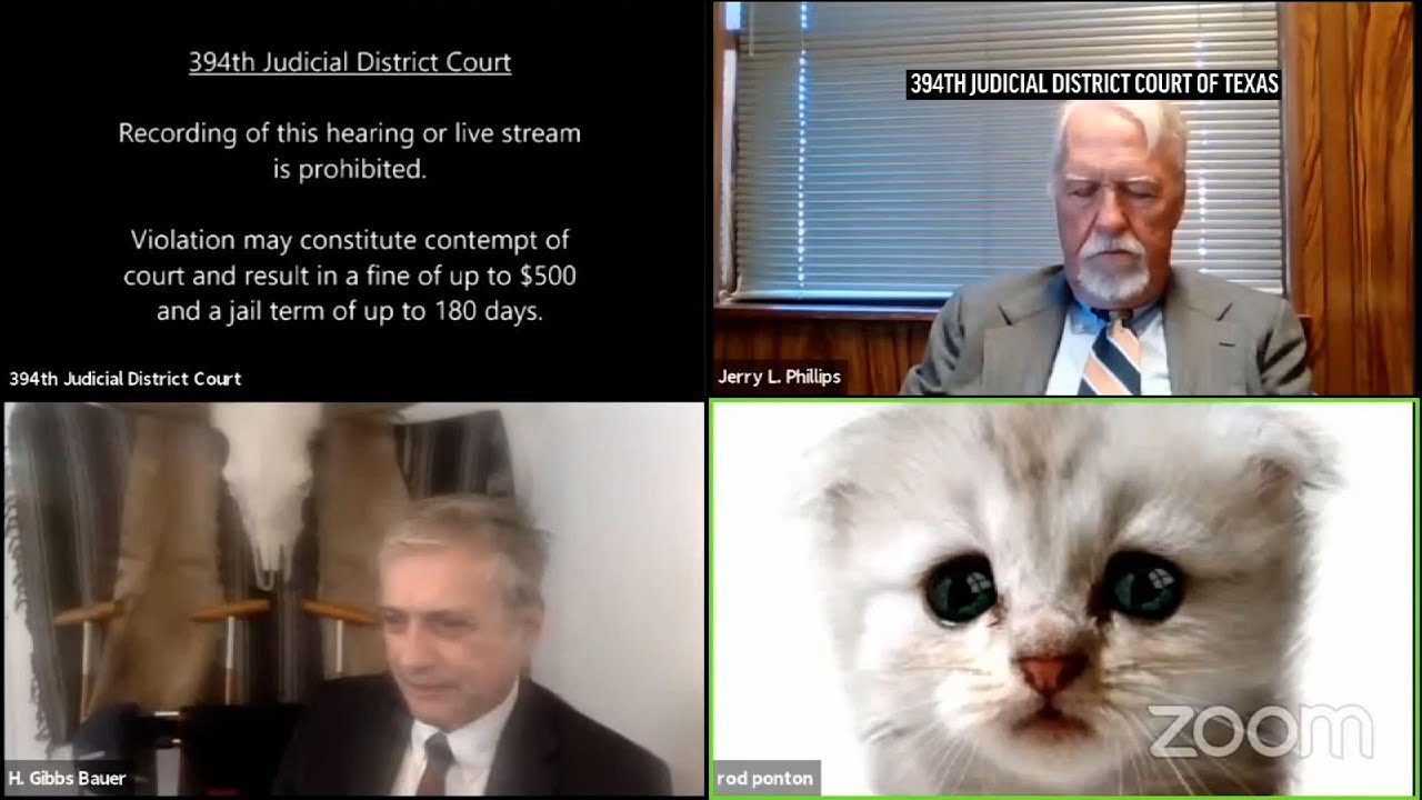 Скріншот зі знаменитого відео судового засідання по Zoom, коли один з юристів-учасників процесу нібито не зміг вимкнути встановлений співробітником фільтр "кіт" і казав судді: "Я присутній, але я не кіт"