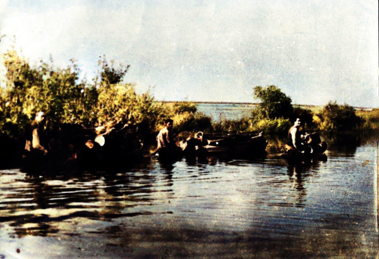 Мешканці Нововоронцовки в плавнях - 1953 рік