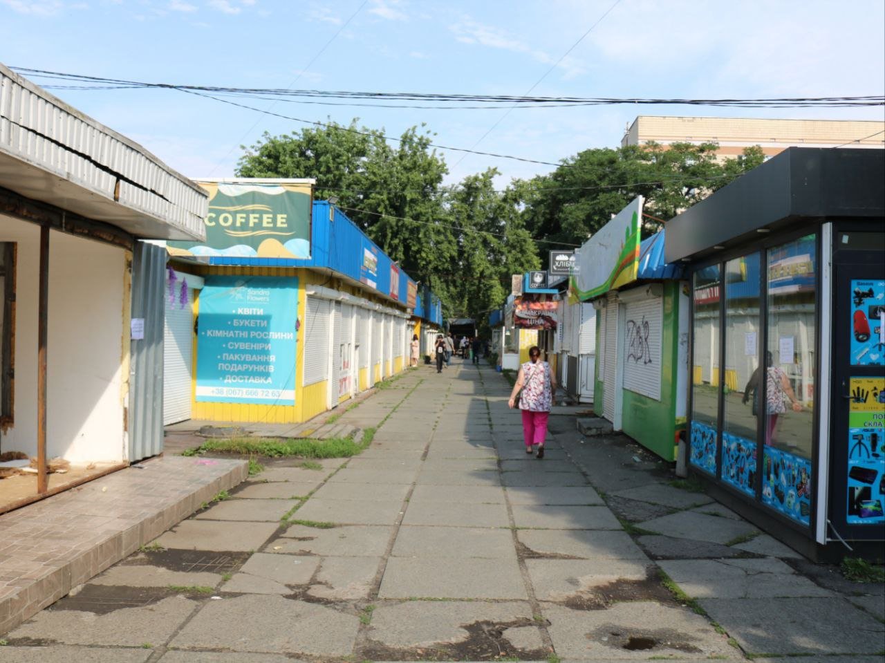Виноградар благоустрій