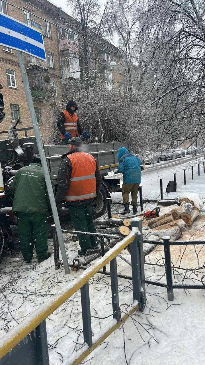 Комунальники прибирають дерева, що впали на вулицях Печерська. Фото з телеграм-каналу Печерської РДА