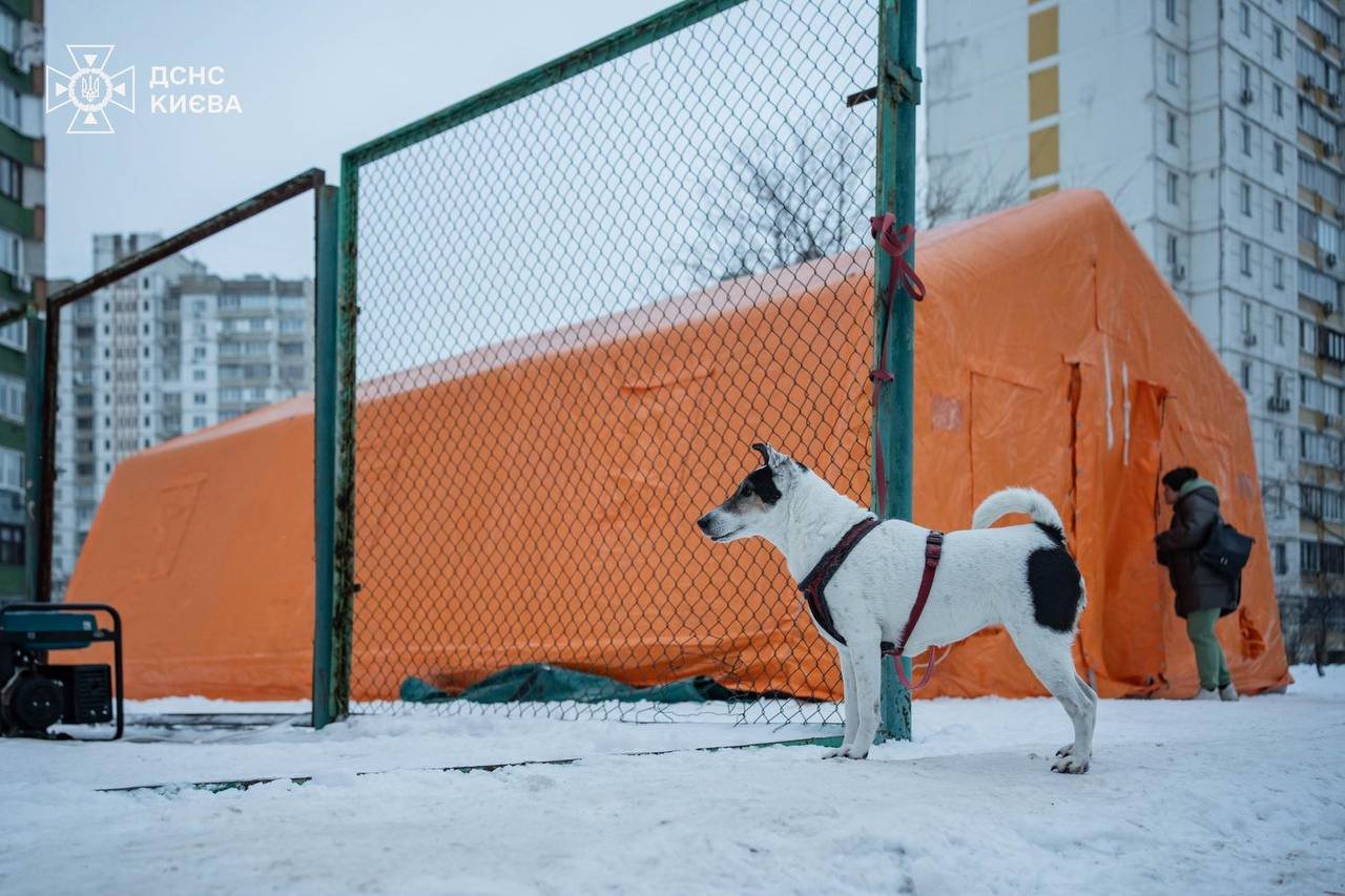 Фото ілюстративне. Джерело: ДСНС