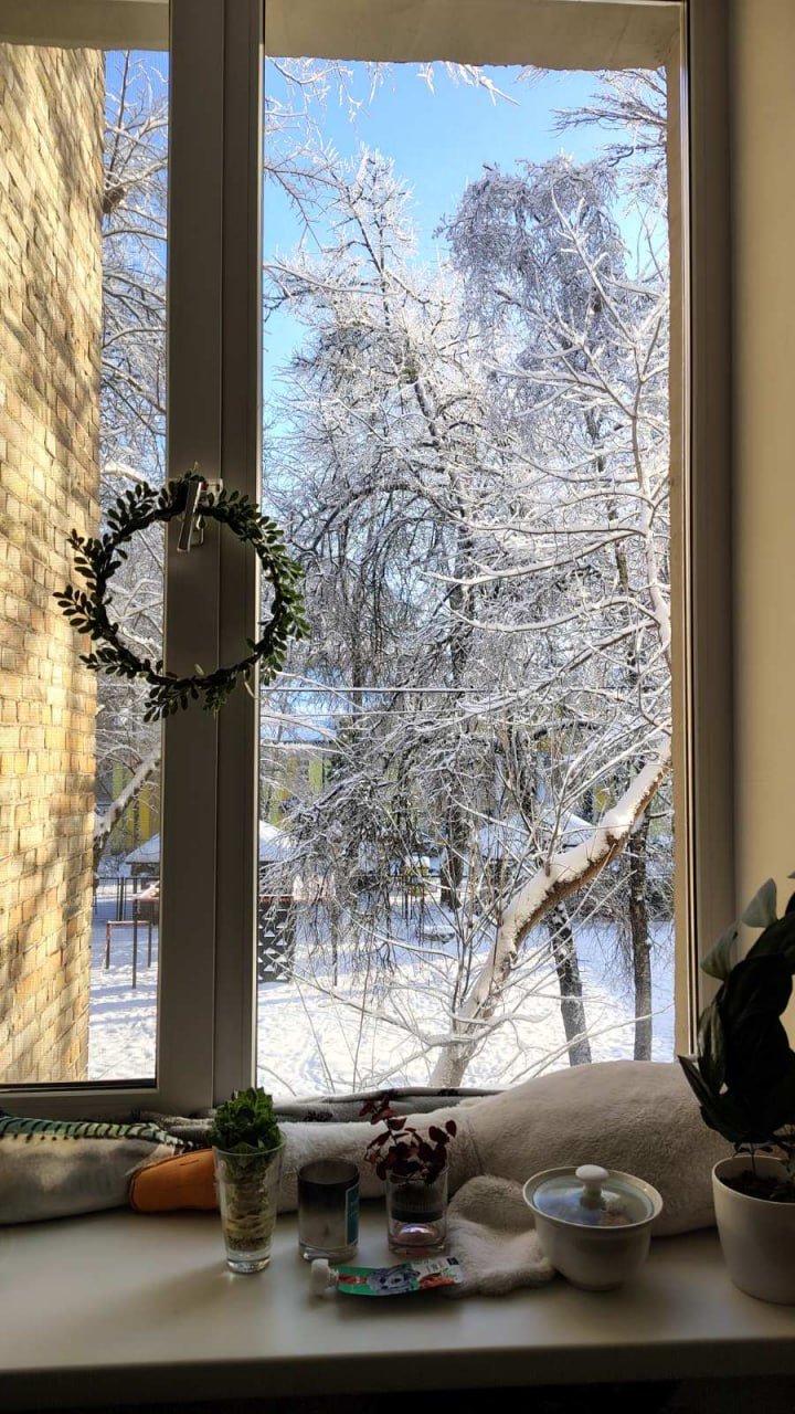 Затишне вікно у квартирі на Печерську під час блекауту після російських обстрілів у Києві. Фото надане героїнею публікації