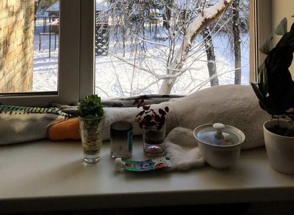 Вижити на Печерську. Як кияни долають наслідки блекауту