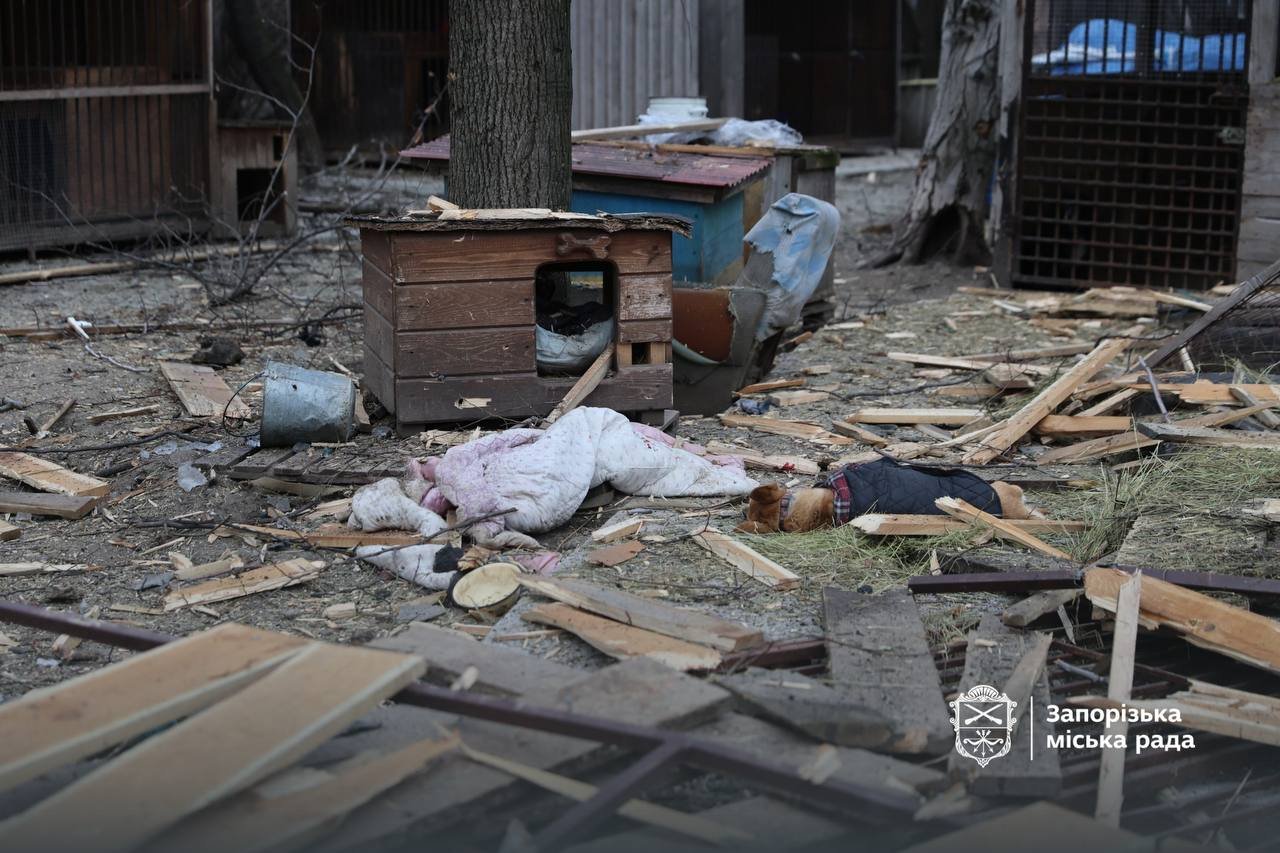 photo_2026-02-06_10-36-36