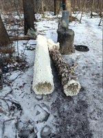 Попередній перегляд photo_2026-03-02_15-37-48