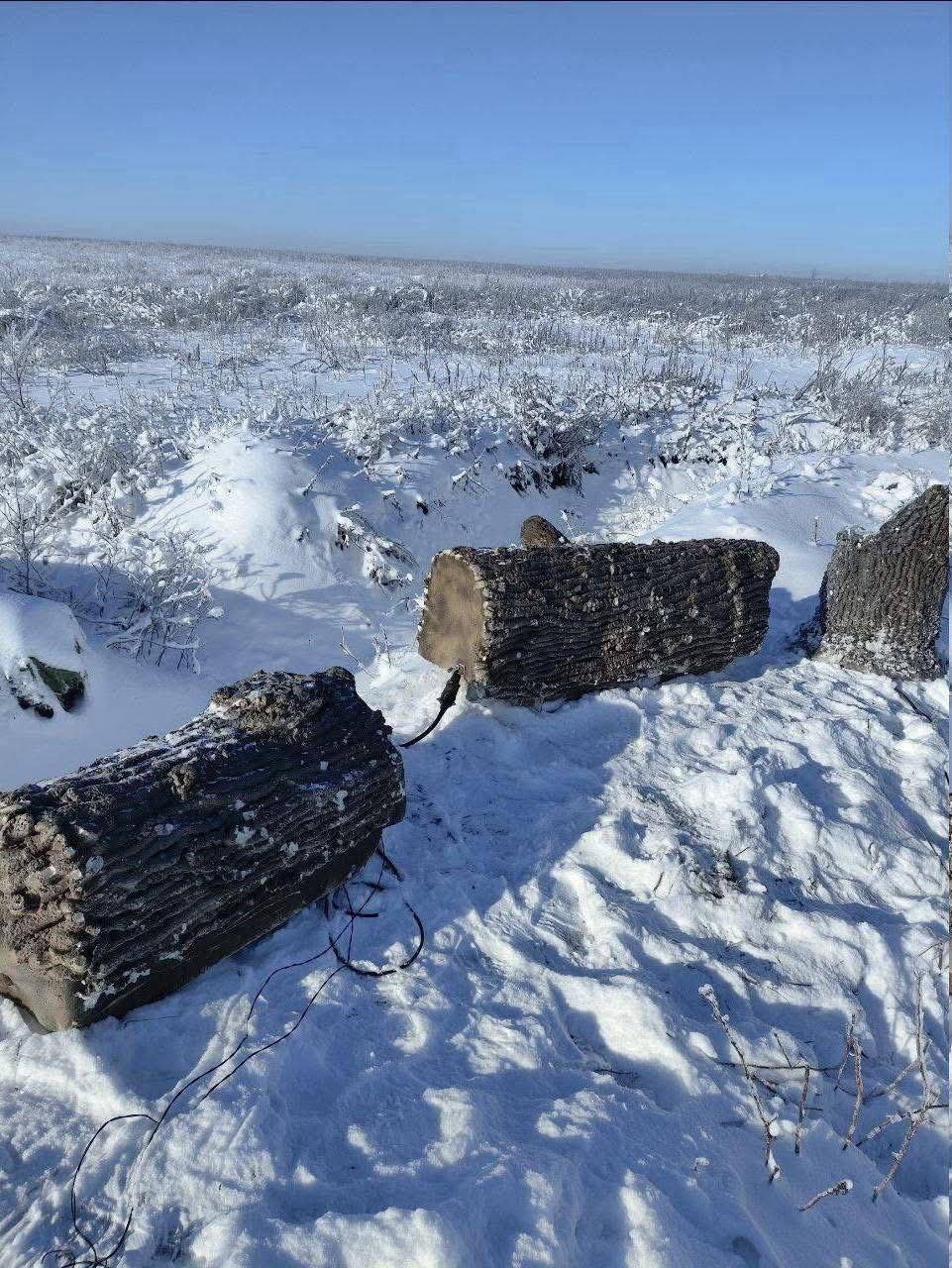 photo_2026-03-02_15-37-49