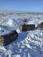 Попередній перегляд photo_2026-03-02_15-37-49