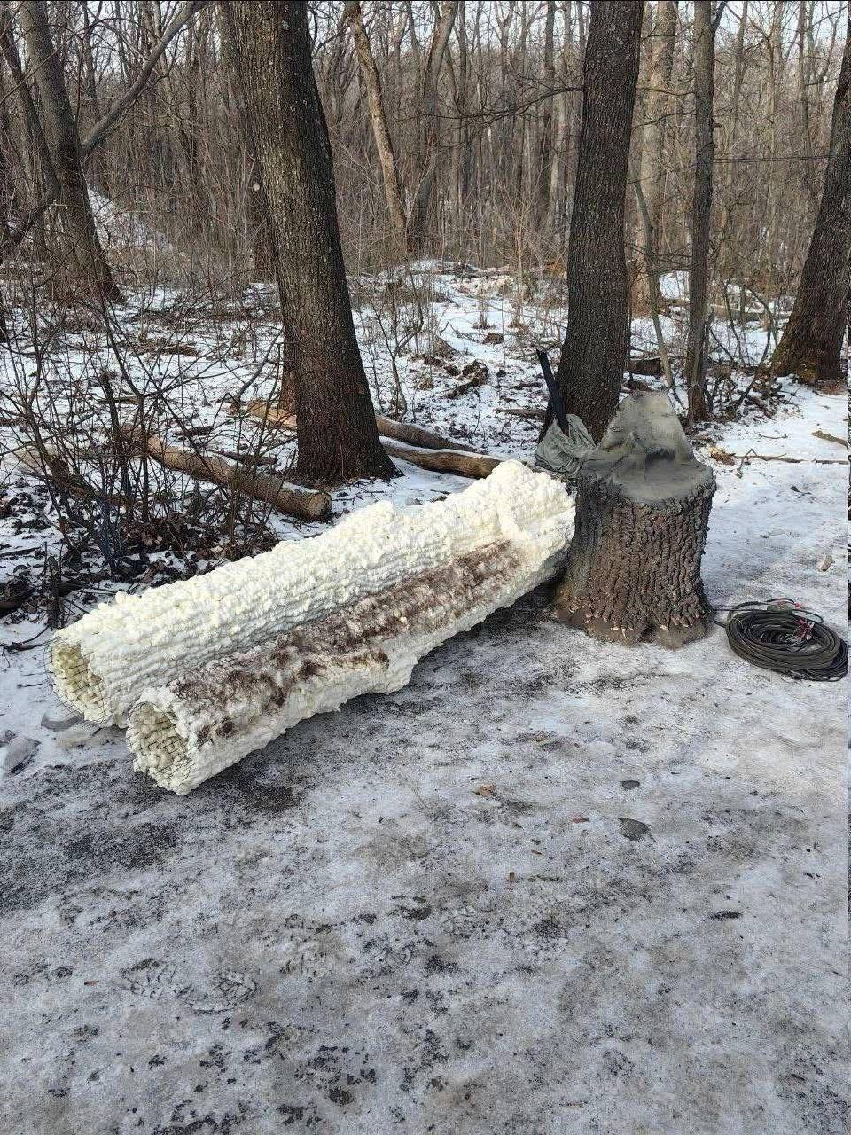 photo_2026-03-02_15-37-51