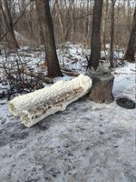 Попередній перегляд photo_2026-03-02_15-37-51