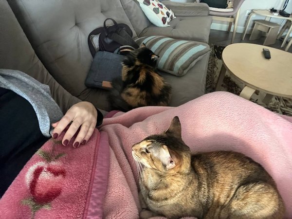 Як кияни рятуються в умовах блекауту: без світла, тепла та води