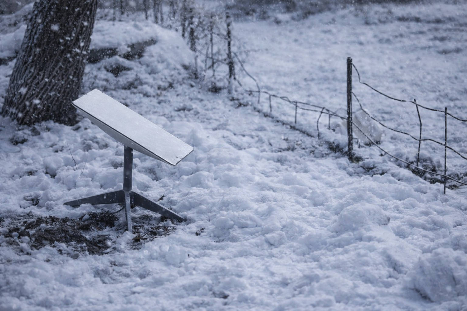 Фото: Армія Inform