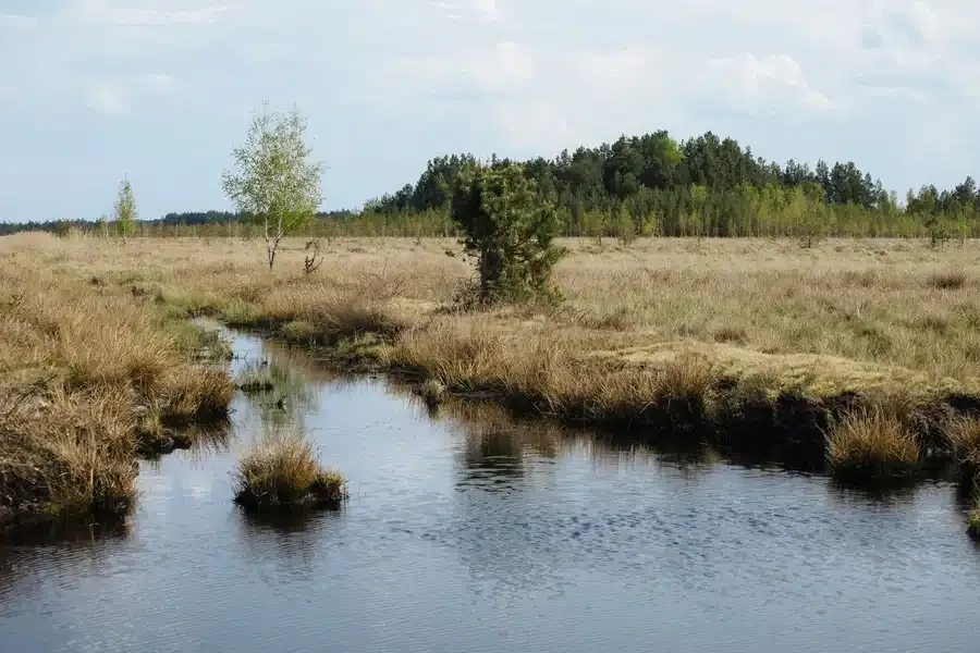 Фото Олі Лікунової