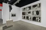 Попередній перегляд Стенд Voloshyn Gallery на артʼярмарку Frieze в Нью-Йорку. Фото: Voloshyn Gallery