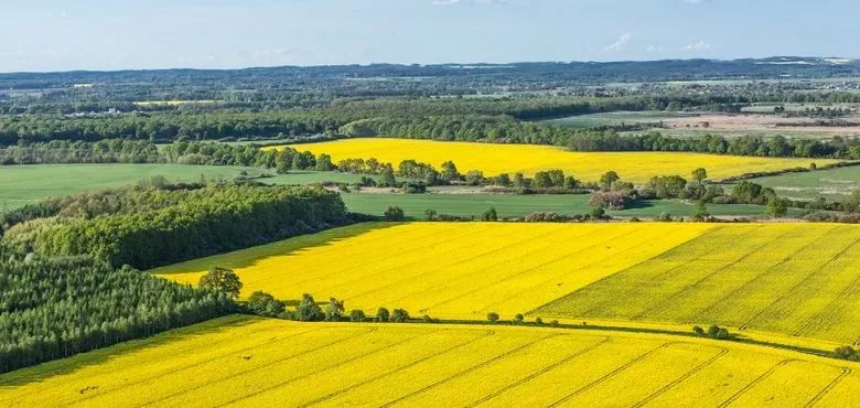 Фото ілюстративне, з відкритих джерел