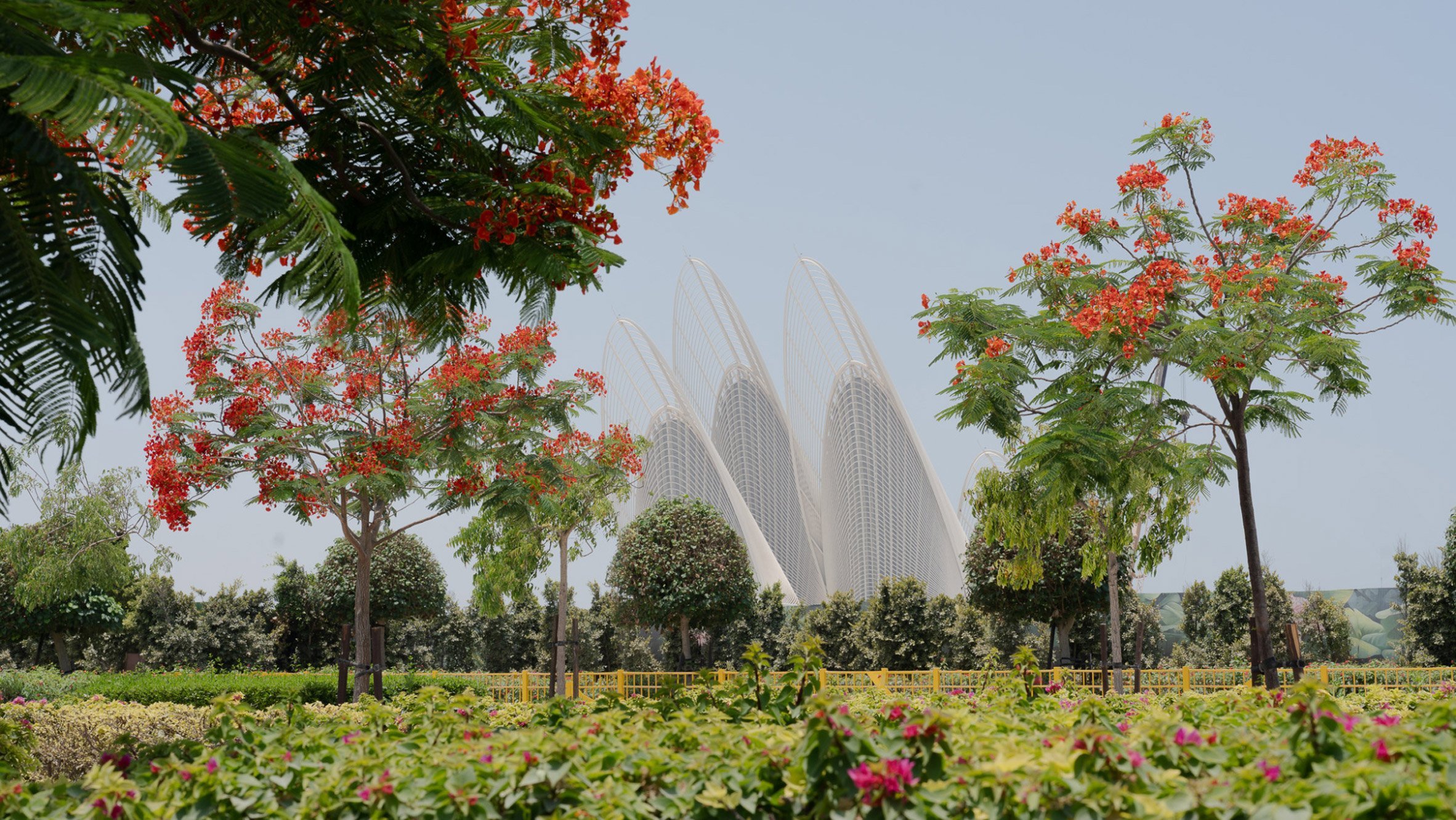 zayed-national-museum